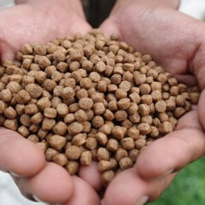 Pellets für Fische